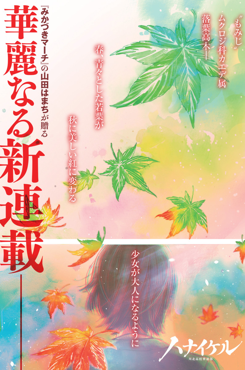 タジマ ハオルハーネスHA フリーサイズ AHAF【限定色】
